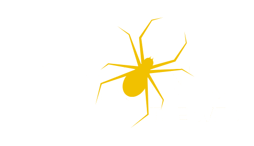 Beyond The Web